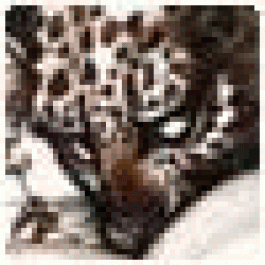 AlonzoDup