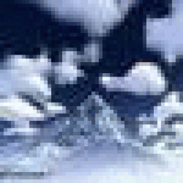 Frankieabove