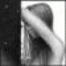 Marthafloax