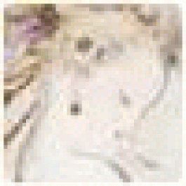 Georgiaodopy
