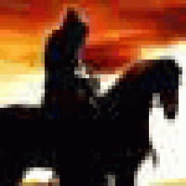Robertstymn