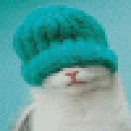 vonsivar