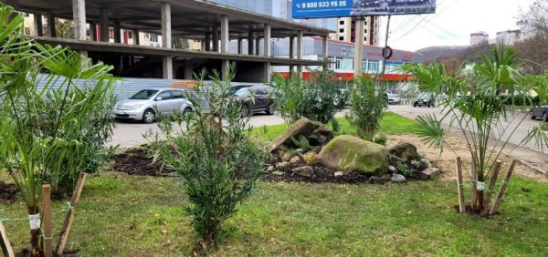 Новая альпийская горка в Туапсе