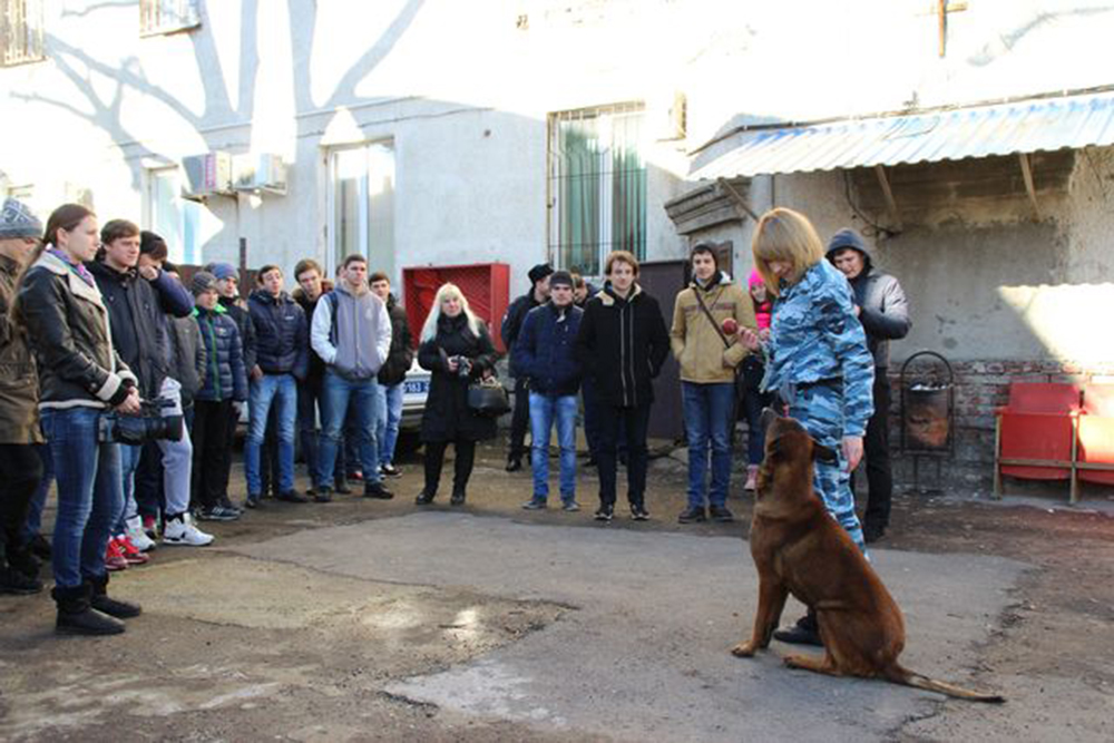 Студенческий десант в Туапсе