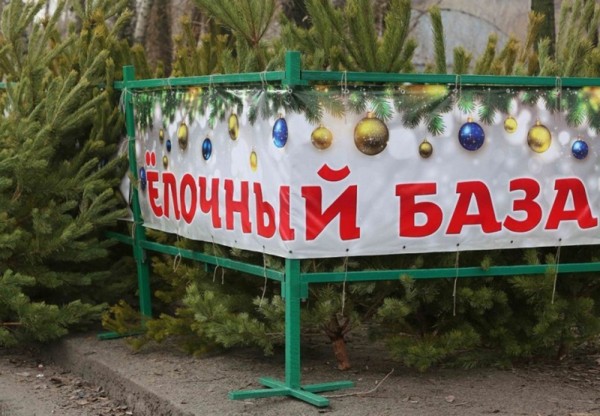 Новогодняя торговля елками и соснами